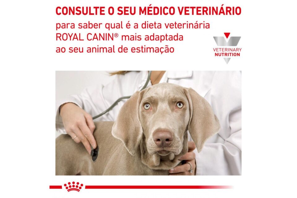 Kit Com 6 Recovery Royal Canin Cães E Gatos